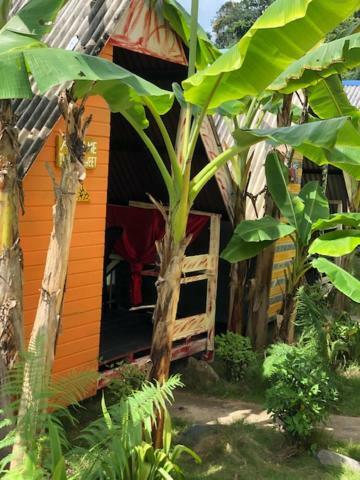 Beach Shack Chalet - Garden View Aframe Small Unit Kampong Juara エクステリア 写真